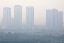 Establecer el precio del carbono eleva imagen de Vietnam a nivel internacional, evalúa sitio web australiano