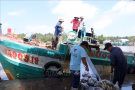 Kien Giang invierte 28 millones de dólares en infraestructura técnica para desarrollo pesquero