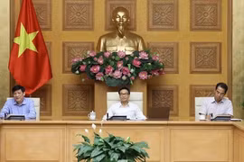 Vietnam: Máxima prioridad a eliminar brote de coronavirus en ciudad de Da Nang