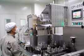 Perspectivas económicas para 2021: Vietnam será un punto brillante