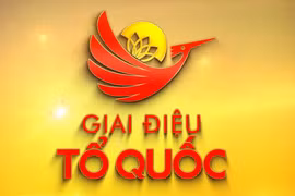 Celebran concierto “La Melodía de la Patria” para conmemorar Día Nacional de Vietnam
