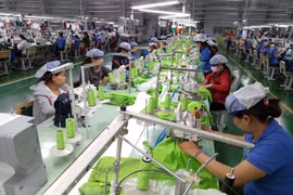 Debaten en Vietnam políticas arancelarias y trámites aduaneros según el EVFTA