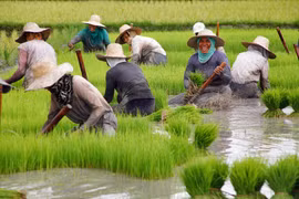 Exportaciones agrícolas y pesqueras de Filipinas crecieron en el primer trimestre de 2020