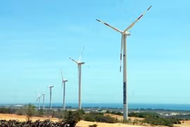 Planta de energía eólica lista para operar en provincia survietnamita