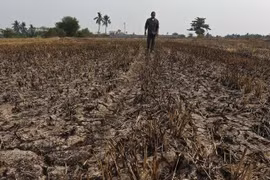 Tailandia enfrenta riesgo de severa escasez de agua, advierten expertos