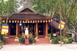 Reconocido el culto a Madre Tay Thien como patrimonio cultural intangible de Vietnam