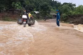 Exhortan en Vietnam a controlar y mitigar consecuencias de inundaciones 