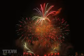 Lanzará ciudad vietnamita de Da Nang fuegos artificiales por el Año Nuevo Lunar