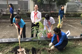 Lanzan en Ciudad Ho Chi Minh campaña para estimular participación infantil en protección del entorno