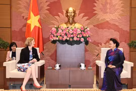 Enaltecen aportes de embajadores extranjeros al progreso de Vietnam