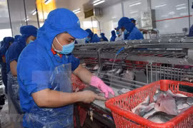 Aumentan exportaciones vietnamitas de mariscos a la UE