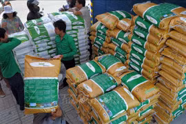 FAO lista para responder a las necesidades de seguridad alimentaria en Camboya
