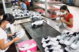 Promueven cooperación entre empresas deportivas de Vietnam y los Países Bajos
