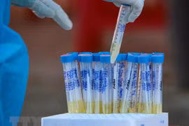 Vietnam cierre la jornada sin registrar nuevos casos del COVID-19