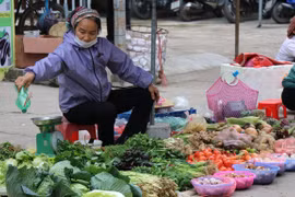 Provincia vietnamita de Vinh Phuc ofrece asistencia a pobladores afectados por el COVID-19