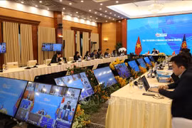 ASEAN 2020: Transformar la energía hacia una orientación sostenible