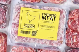 “Pollo de laboratorio” ¡a tu plato en Singapur!