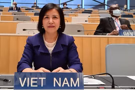 Aprecia Vietnam eficiencia de actividades y logros de WIPO