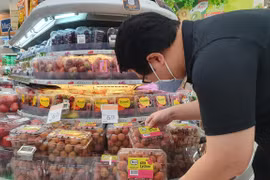 Lichi de Vietnam conquista mercado singapurense