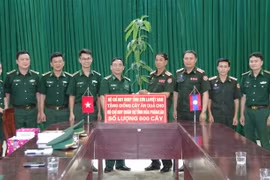 Provincia vietnamita entrega plántulas frutales a Laos
