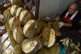 Tailandia desarrolla cajas a prueba de olores para almacenar durián
