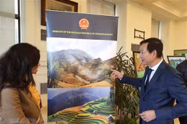 Presenta Vietnam lo mejor de su cultura en Egipto