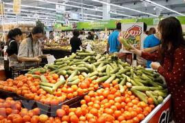 Industria y comercio de Vietnam trazan planes ante impactos del coronavirus