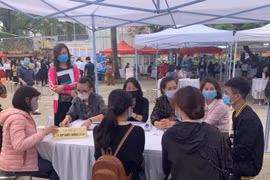 Más de 145 mil empleados de Hanoi contratados con éxito hasta octubre