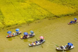 Proyecta Vietnam atraer a 20,5 millones de turistas extranjeros en 2020