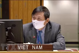 Vietnam exhorta a ayudar al Líbano a superar dificultades