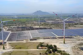 Provincia vietnamita de Ninh Thuan por convertirse en centro de energía renovable