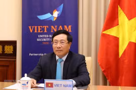 Diplomacia de Vietnam mantiene firme voluntad de acompañar el desarrollo nacional