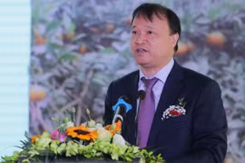 Impulsan cooperación económica y comercial entre Vietnam y Chile