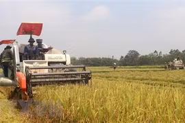 Banco Mundial apoya actividades de agricultores en Filipinas