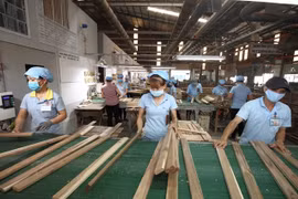 Vietnam espera alcanzar más de 12 mil millones de dólares por venta de madera y derivados