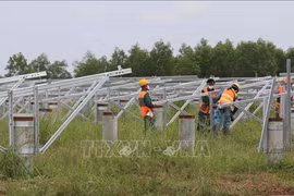 Provincia vietnamita de Binh Phuoc por mejorar economía local