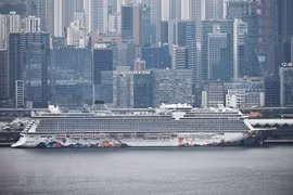 Clarifica Da Nang información sobre llegada de crucero con sospechoso caso de coronavirus 