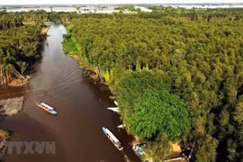 Instan a localidades vietnamitas del Delta del Mekong a cumplir objetivos anuales