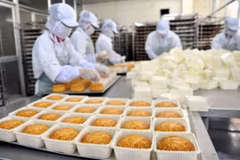 Puertas abiertas al mundo para pasteles vietnamitas de luna 