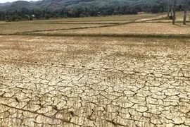 Fenómeno de La Niña aliviará severidad de sequía en Tailandia