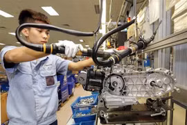 Promueven inversiones australianas en provincia vietnamita