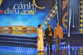Posponen anuncio del premio nacional del cine vietnamita 2020 por COVID-19