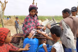 Expresa Vietnam preocupación por crisis humanitaria en Yemen