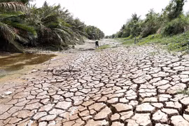 Vietnam redobla los esfuerzos para mitigar impactos del cambio climático