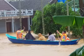 Busca Vietnam medidas para ayudar a población superar consecuencias de desastres naturales