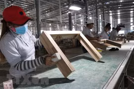Moody's Analytics: Vietnam será una de las economías de más rápido crecimiento en 2021