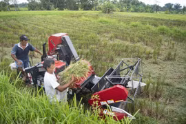 Indonesia amplia extensión de tierra de cultivo