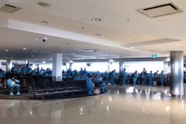 Regresan 350 vietnamitas desde Australia y Nueva Zelanda