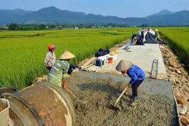 Avanzan distritos de Hanoi en la construcción de nuevas zonas rurales