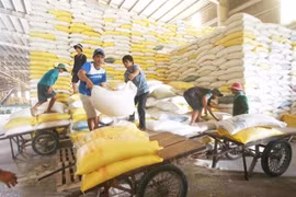 Cultivadores de arroz en Vietnam se benefician del programa de reducción de emisiones